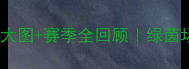 图片 上海申花球员高清大图+赛季全回顾｜绿茵场上的热血日常🔥2