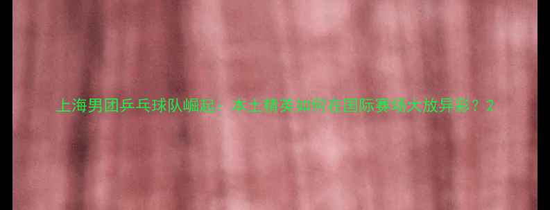 图片 上海男团乒乓球队崛起：本土精英如何在国际赛场大放异彩？2