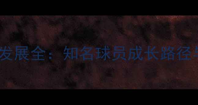 图片 上海羽毛球发展全：知名球员成长路径与训练体系1