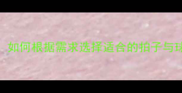 图片 不同号羽毛球选购指南：如何根据需求选择适合的拍子与球？性能对比与使用场景