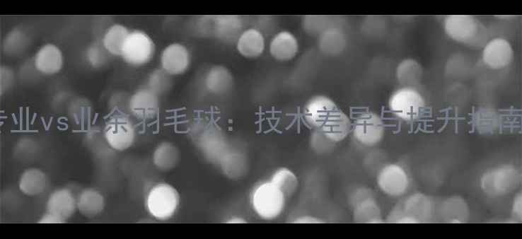 图片 专业vs业余羽毛球：技术差异与提升指南1