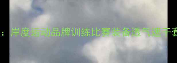 图片 专业乒乓球服装推荐：岸度运动品牌训练比赛装备透气速干套装测评与选购指南1