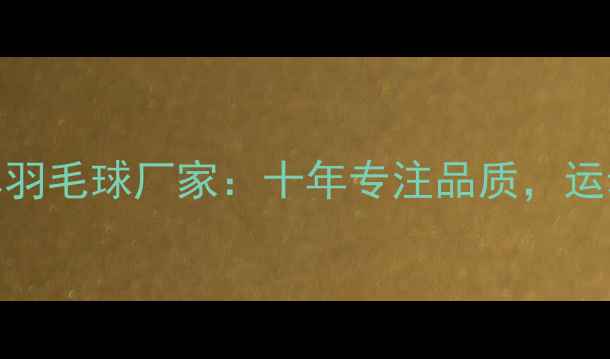 图片 专业制造｜联合冠军羽毛球厂家：十年专注品质，运动装备批发定制首选