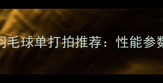 图片 专业级羽毛球单打拍推荐：性能参数与实战