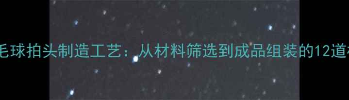 图片 专业级羽毛球拍头制造工艺：从材料筛选到成品组装的12道核心步骤2