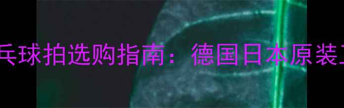 图片 专业级进口纯木板乒乓球拍选购指南：德国日本原装工艺与实战性能评测1