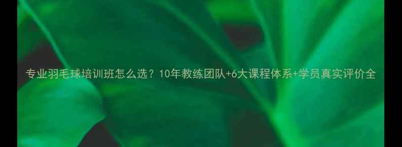图片 专业羽毛球培训班怎么选？10年教练团队+6大课程体系+学员真实评价全