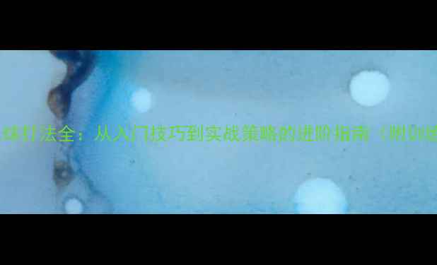 图片 专业羽毛球打法全：从入门技巧到实战策略的进阶指南（附训练计划）1