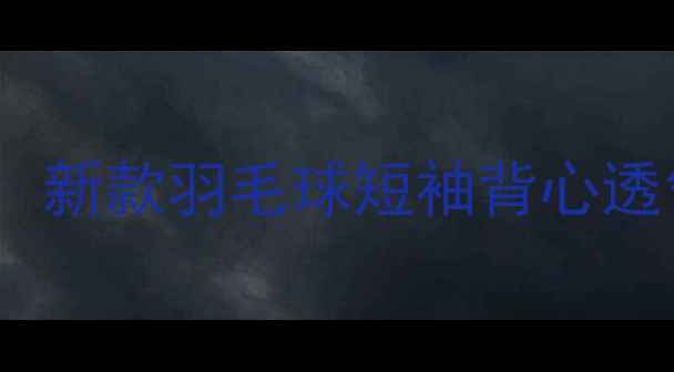 图片 专业运动之选：新款羽毛球短袖背心透气速干装备全1