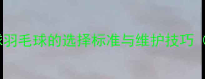 图片 专业：比赛用球羽毛球的选择标准与维护技巧（附选购指南）1