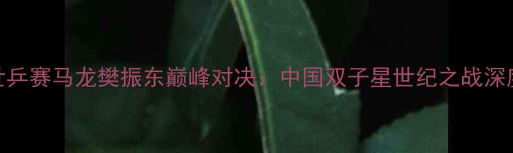 图片 世乒赛马龙樊振东巅峰对决：中国双子星世纪之战深度