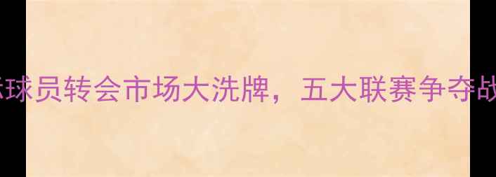 图片 世界杯前瞻：国际球员转会市场大洗牌，五大联赛争夺战与新兴势力崛起1