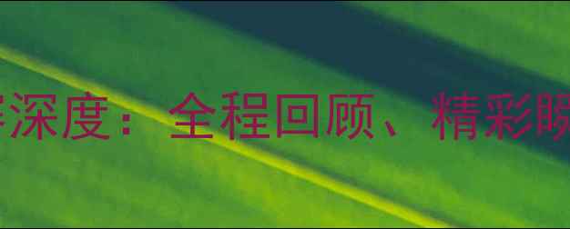 图片 世界杯足球比赛深度：全程回顾、精彩瞬间与战术分析2