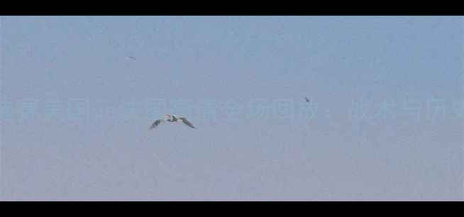 图片 世界杯预选赛美国vs法国高清全场回放：战术与历史对决回顾