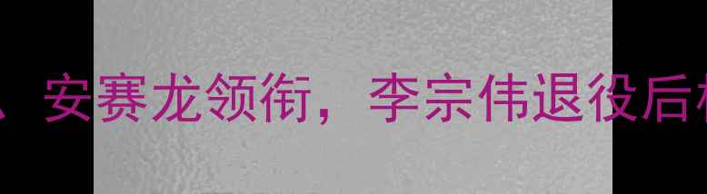 图片 世界男单羽毛球最新排名出炉！林丹、安赛龙领衔，李宗伟退役后格局大变天，附完整榜单及未来展望1