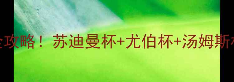 图片 世界羽毛球三大赛事全攻略！苏迪曼杯+尤伯杯+汤姆斯杯时间+看点+观赛指南