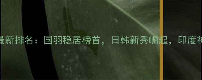 图片 世界羽毛球最新排名：国羽稳居榜首，日韩新秀崛起，印度神童引爆关注