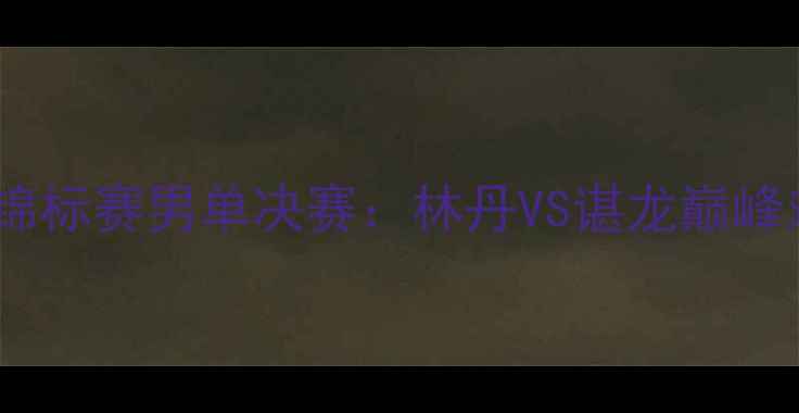 图片 世界羽毛球锦标赛男单决赛：林丹VS谌龙巅峰对决全记录1