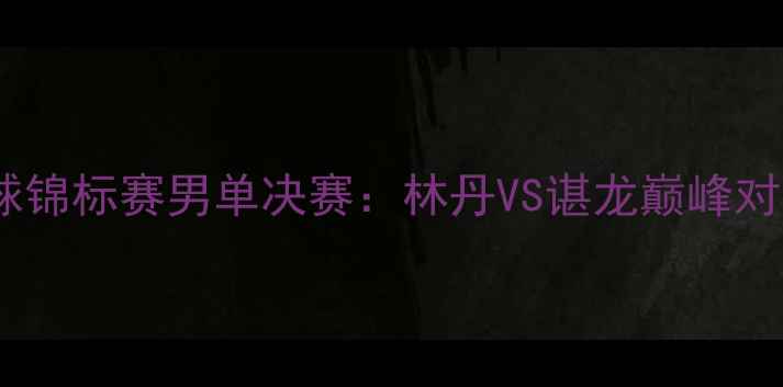 图片 世界羽毛球锦标赛男单决赛：林丹VS谌龙巅峰对决全记录2