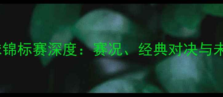 图片 世界青年羽毛球锦标赛深度：赛况、经典对决与未来之星的崛起2