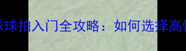 图片 业余乒乓球球拍入门全攻略：如何选择高性价比装备