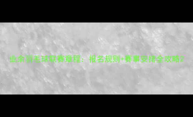 图片 业余羽毛球联赛章程：报名规则+赛事安排全攻略2