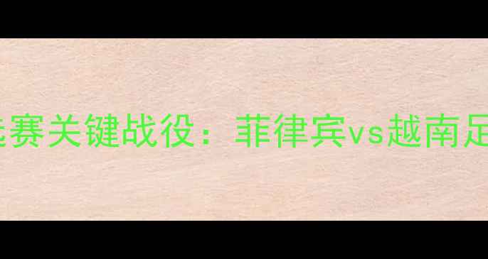 图片 东南亚杯预选赛关键战役：菲律宾vs越南足球对决深度1