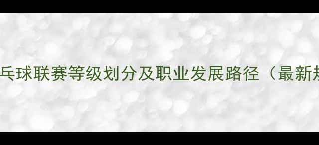 图片 中国乒乓球联赛等级划分及职业发展路径（最新规则）2