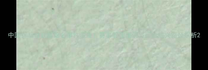 图片 中国乒乓球联赛除名事件深度：赛事管理漏洞与行业振兴路径探析2