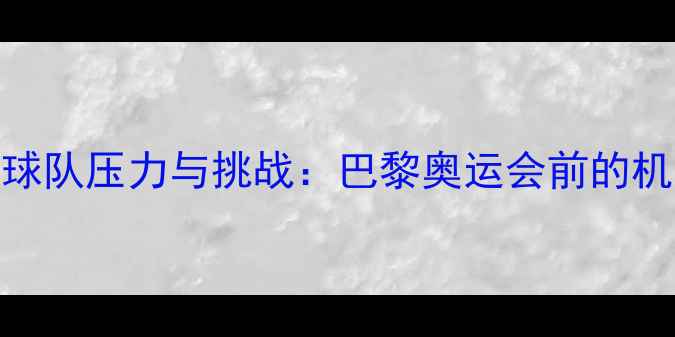 图片 中国乒乓球队压力与挑战：巴黎奥运会前的机遇与突破