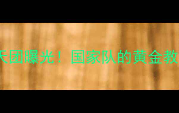 图片 中国乒乓球队女队教练天团曝光！国家队的黄金教练团队名单及培养秘籍2