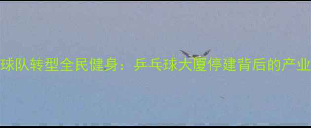 图片 中国乒乓球队转型全民健身：乒乓球大厦停建背后的产业升级之路