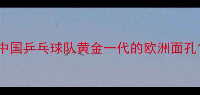 图片 中国乒乓球队黄金一代的欧洲面孔1