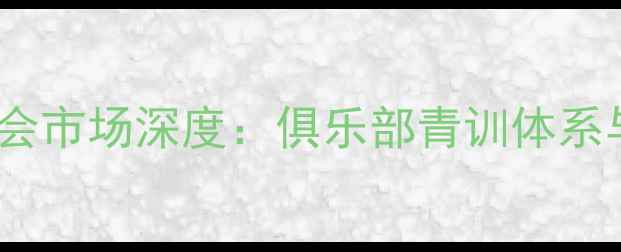 图片 中国国奥球员转会市场深度：俱乐部青训体系与职业发展路径1