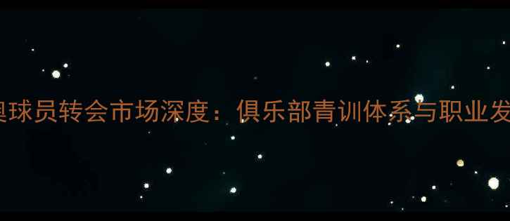 图片 中国国奥球员转会市场深度：俱乐部青训体系与职业发展路径2