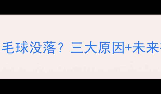 图片 中国女单羽毛球没落？三大原因+未来破局指南✨