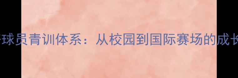 图片 中国好球员青训体系：从校园到国际赛场的成长密码2