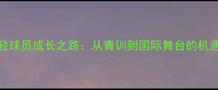 图片 中国年轻球员成长之路：从青训到国际舞台的机遇与挑战