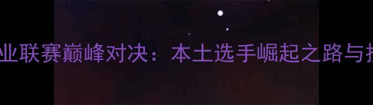 图片 中国拳击职业联赛巅峰对决：本土选手崛起之路与技术革新全2