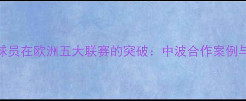 图片 中国球员在欧洲五大联赛的突破：中波合作案例与数据