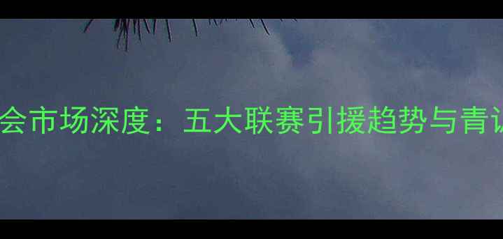 图片 中国球员转会市场深度：五大联赛引援趋势与青训体系升级1