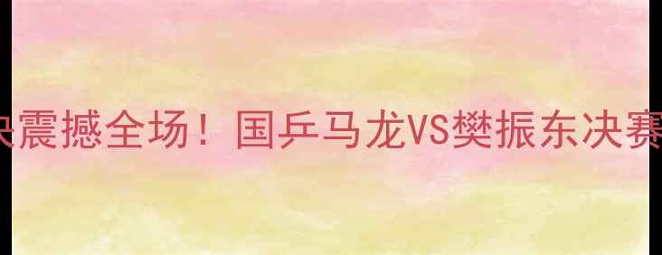 图片 中国男单乒乓球巅峰对决震撼全场！国乒马龙VS樊振东决赛技术与赛事影响全记录1