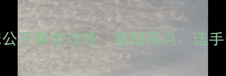图片 中国男子羽毛球公开赛全攻略：赛程亮点、选手分析及观赛指南