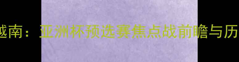 图片 中国男足VS越南：亚洲杯预选赛焦点战前瞻与历史交锋分析1