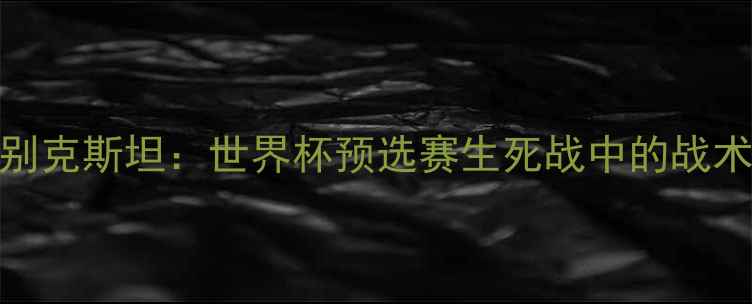 图片 中国男足vs乌兹别克斯坦：世界杯预选赛生死战中的战术博弈与历史回响