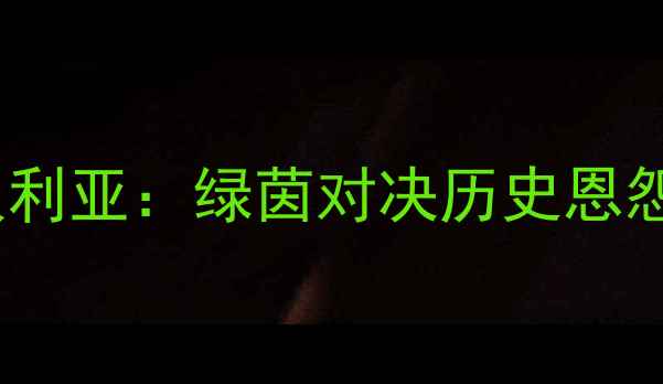 图片 中国男足vs叙利亚：绿茵对决历史恩怨与战术博弈2