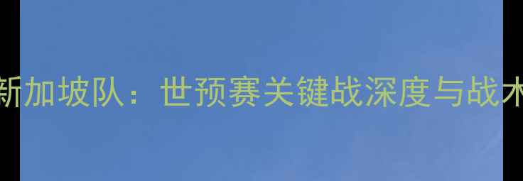 图片 中国男足vs新加坡队：世预赛关键战深度与战术博弈全记录