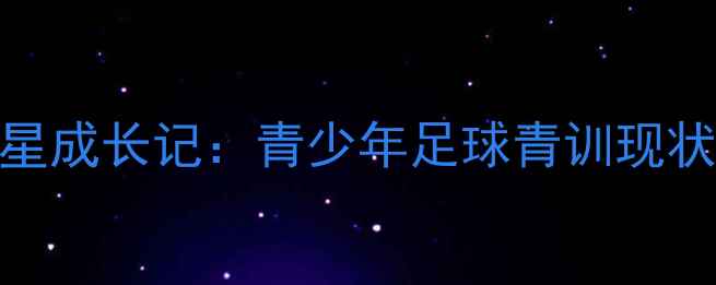 图片 中国绿茵之星成长记：青少年足球青训现状调查与展望