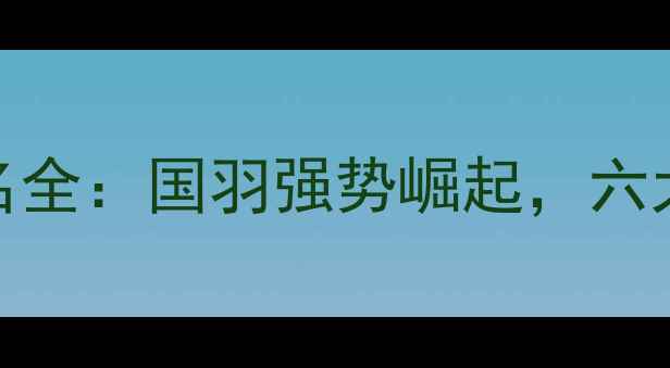 图片 中国羽毛球世界排名全：国羽强势崛起，六大主力选手表现抢眼