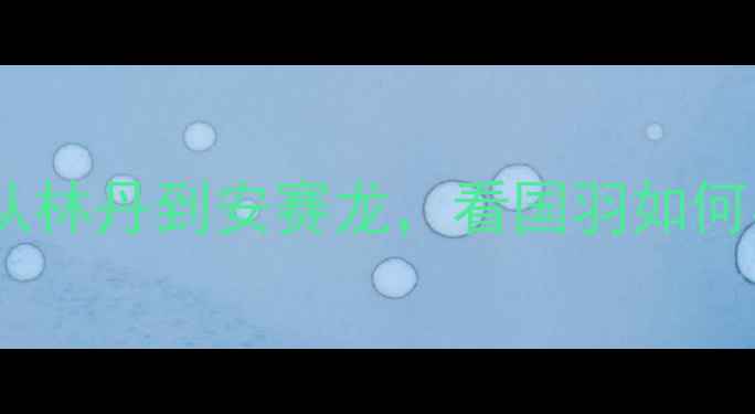 图片 中国羽毛球亚运夺冠全：从林丹到安赛龙，看国羽如何实现技术革新与体系升级1